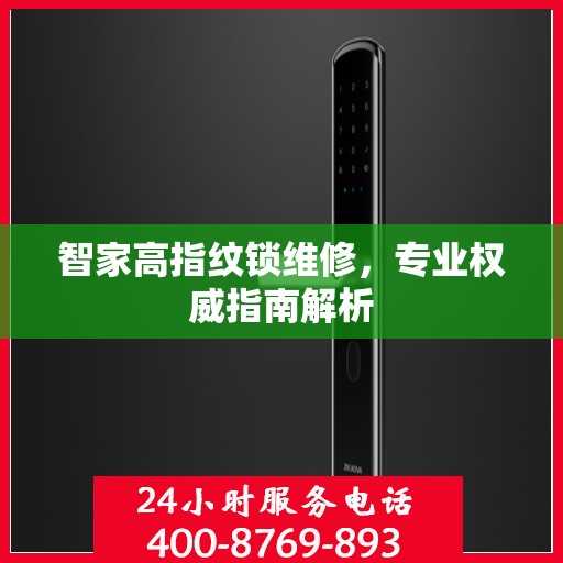 智家高指纹锁维修，专业权威指南解析