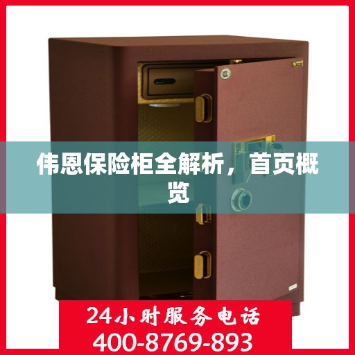 伟恩保险柜全解析，首页概览