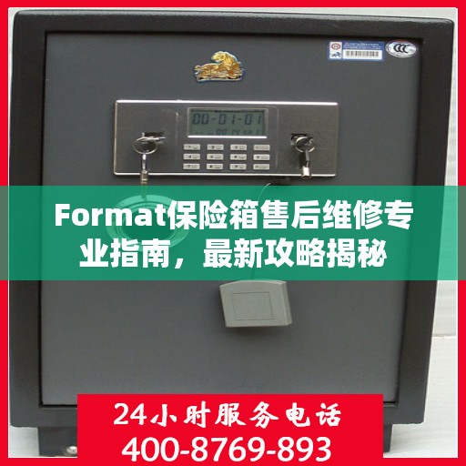 Format保险箱售后维修专业指南，最新攻略揭秘