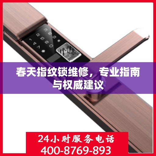 春天指纹锁维修，专业指南与权威建议