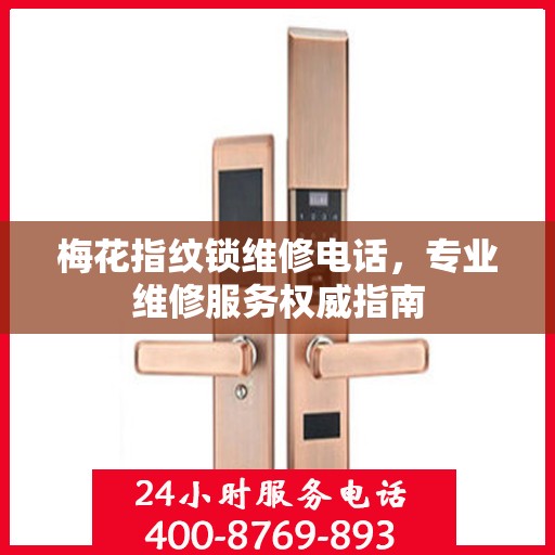 梅花指纹锁维修电话，专业维修服务权威指南