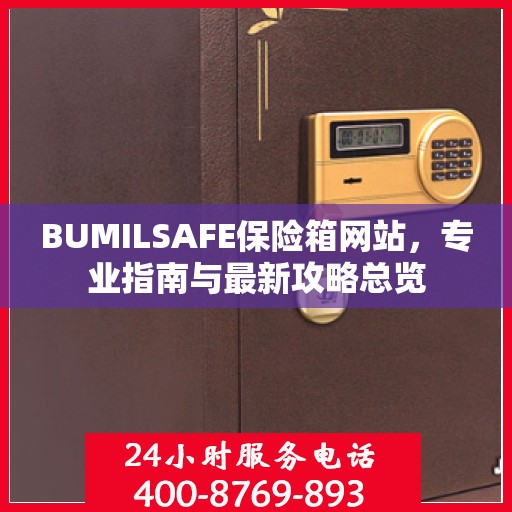 BUMILSAFE保险箱网站，专业指南与最新攻略总览