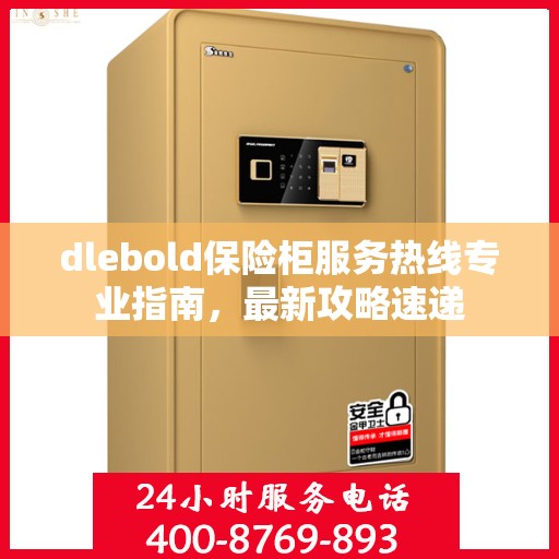 dlebold保险柜服务热线专业指南，最新攻略速递