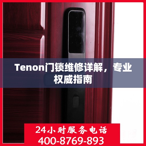 Tenon门锁维修详解，专业权威指南