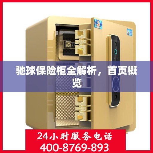 驰球保险柜全解析，首页概览