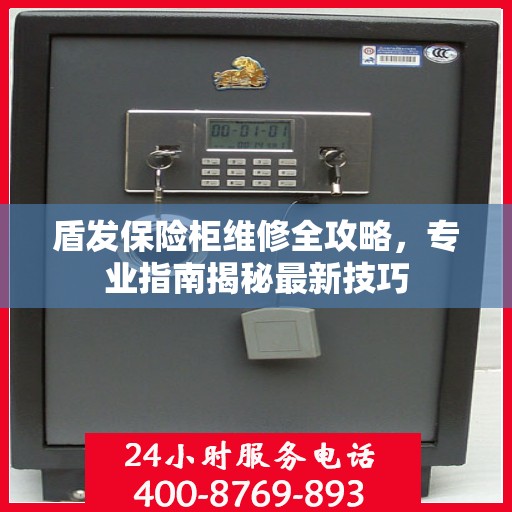 盾发保险柜维修全攻略，专业指南揭秘最新技巧