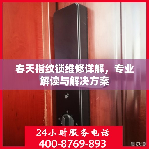 春天指纹锁维修详解，专业解读与解决方案