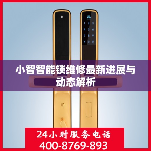 小智智能锁维修最新进展与动态解析