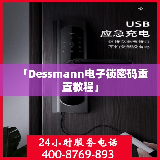 「Dessmann电子锁密码重置教程」