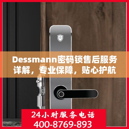 Dessmann密码锁售后服务详解，专业保障，贴心护航您的安全锁事