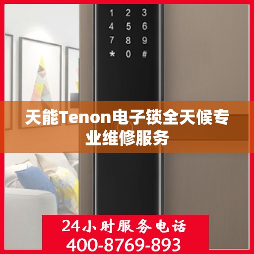 天能Tenon电子锁全天候专业维修服务