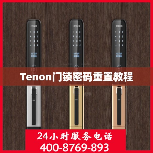 Tenon门锁密码重置教程