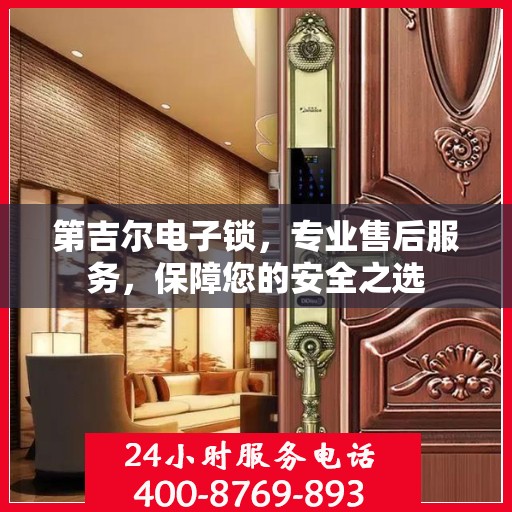 第吉尔电子锁，专业售后服务，保障您的安全之选