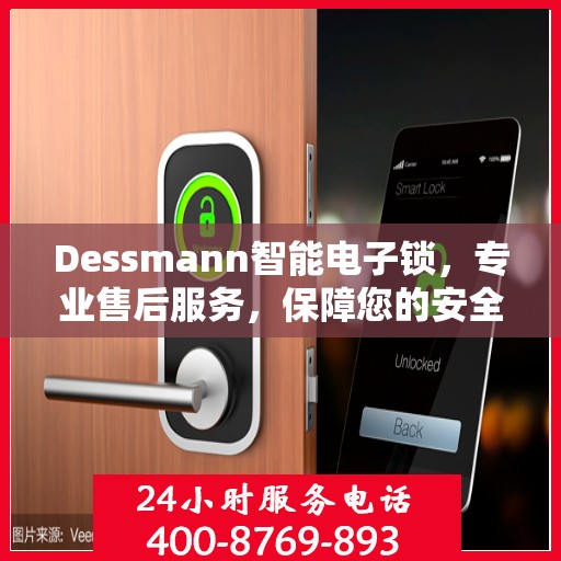 Dessmann智能电子锁，专业售后服务，保障您的安全之选