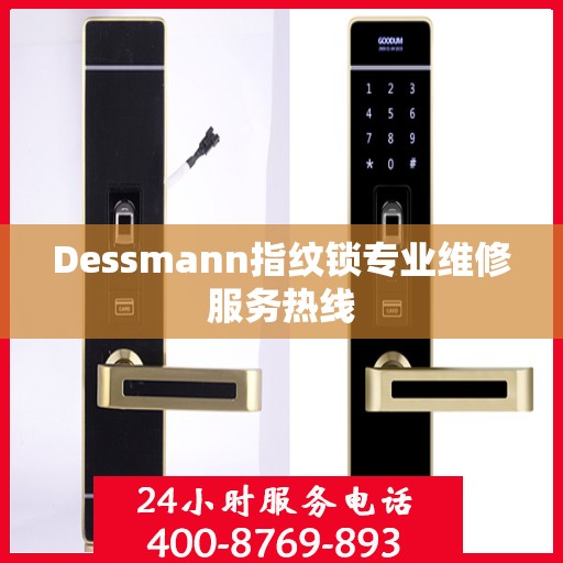 Dessmann指纹锁专业维修服务热线