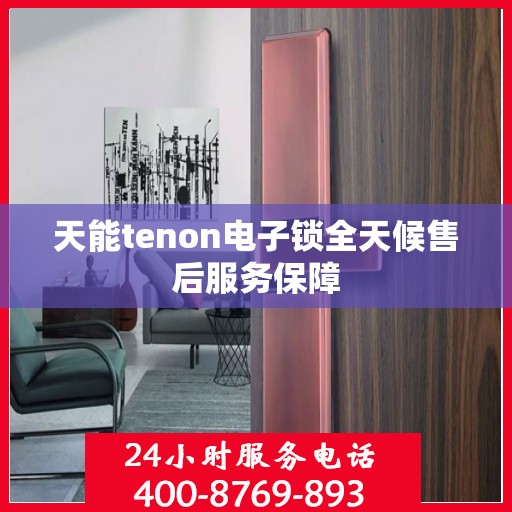 天能tenon电子锁全天候售后服务保障