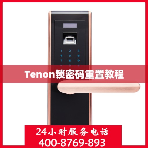 Tenon锁密码重置教程