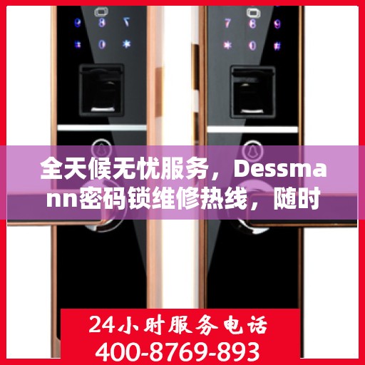 全天候无忧服务，Dessmann密码锁维修热线，随时响应您的需求