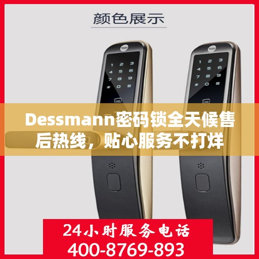 Dessmann密码锁全天候售后热线，贴心服务不打烊
