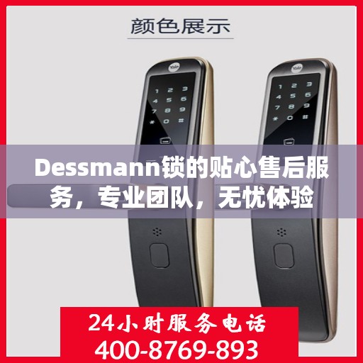 Dessmann锁的贴心售后服务，专业团队，无忧体验