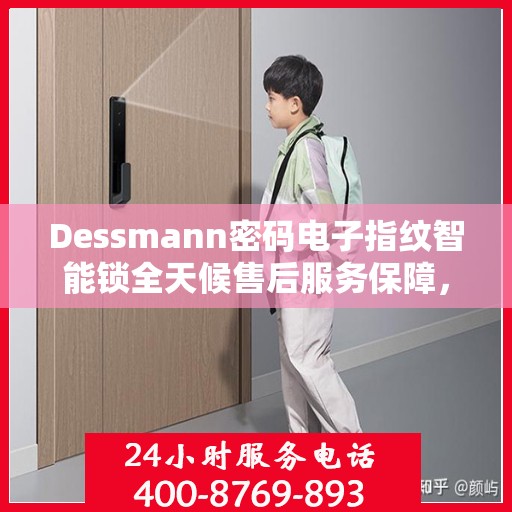 Dessmann密码电子指纹智能锁全天候售后服务保障，开启智能安全新纪元