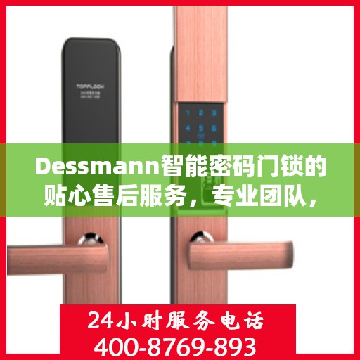 Dessmann智能密码门锁的贴心售后服务，专业团队，无忧体验