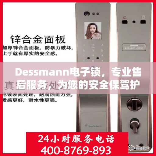 Dessmann电子锁，专业售后服务，为您的安全保驾护航