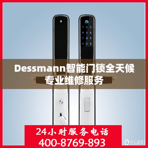 Dessmann智能门锁全天候专业维修服务