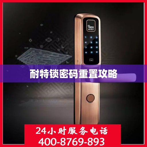 耐特锁密码重置攻略