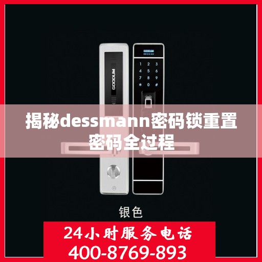 揭秘dessmann密码锁重置密码全过程