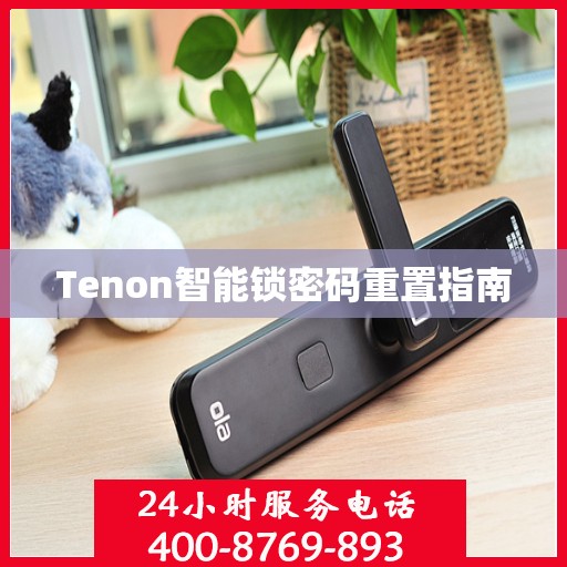 Tenon智能锁密码重置指南