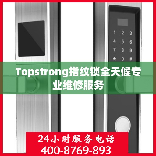 Topstrong指纹锁全天候专业维修服务