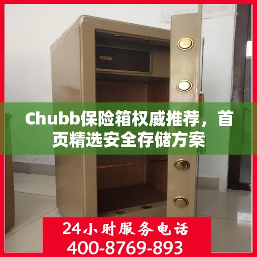 Chubb保险箱权威推荐，首页精选安全存储方案