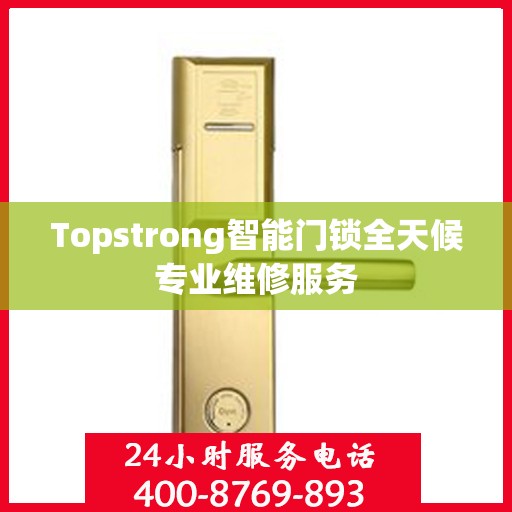 Topstrong智能门锁全天候专业维修服务