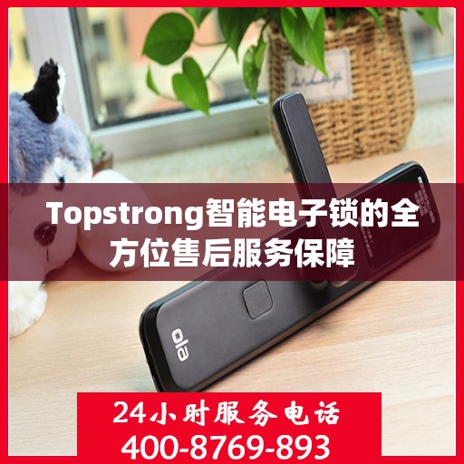 Topstrong智能电子锁的全方位售后服务保障