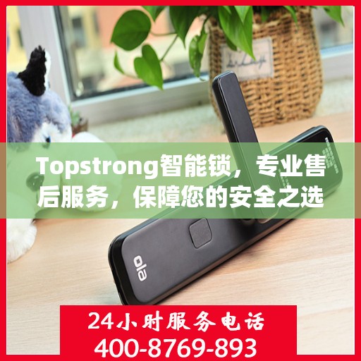 Topstrong智能锁，专业售后服务，保障您的安全之选