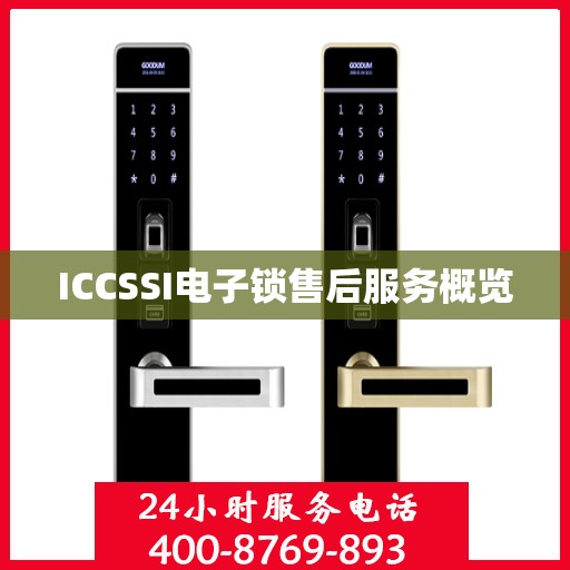 ICCSSI电子锁售后服务概览