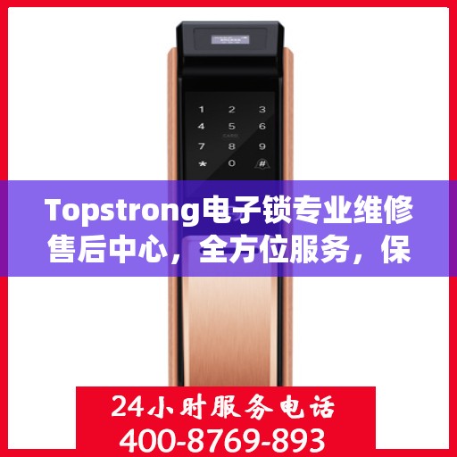 Topstrong电子锁专业维修售后中心，全方位服务，保障您的安全之选