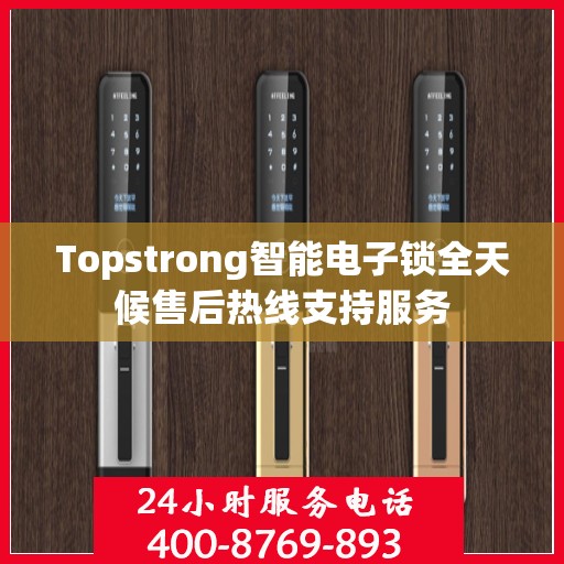 Topstrong智能电子锁全天候售后热线支持服务
