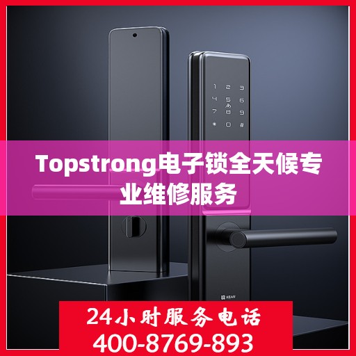 Topstrong电子锁全天候专业维修服务