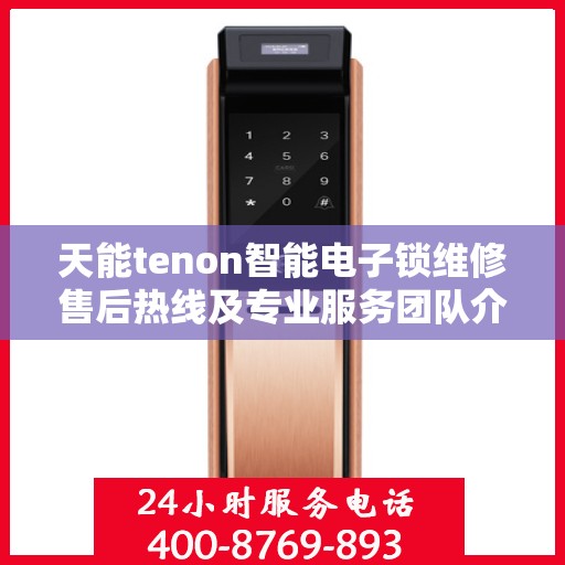 天能tenon智能电子锁维修售后热线及专业服务团队介绍