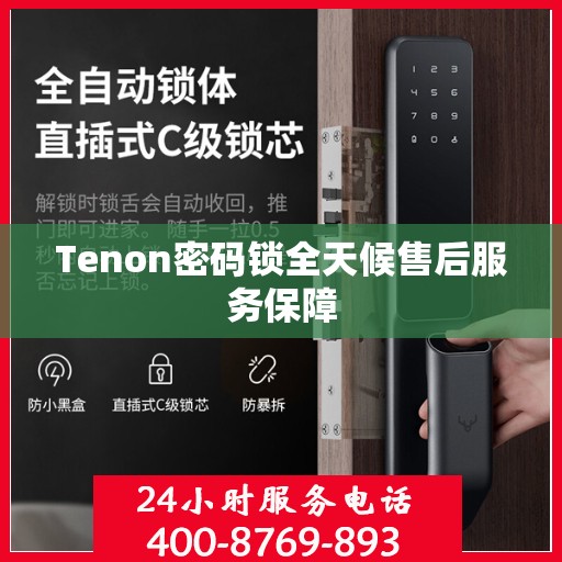Tenon密码锁全天候售后服务保障